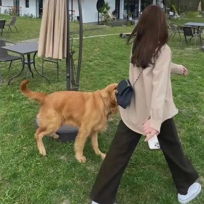 无良医生:爱里藏刀