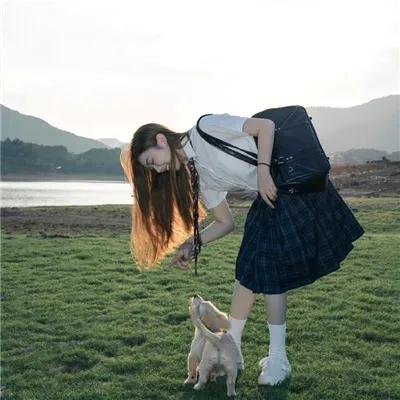 龙猪飞上天